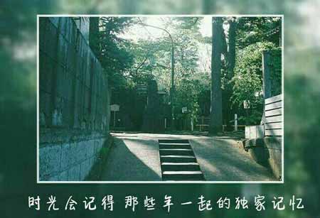 终究蝴蝶飞不过沧海