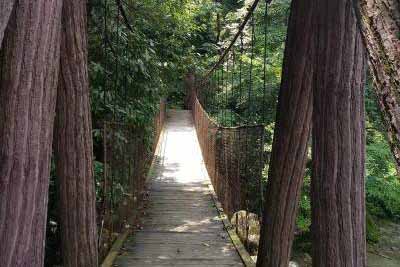 �¹��͵�һ����