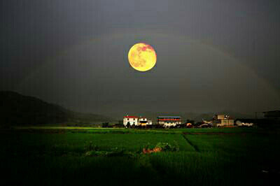 �����һ����