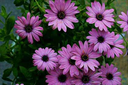 ������ʱ�����Ƿ�Ҳ������