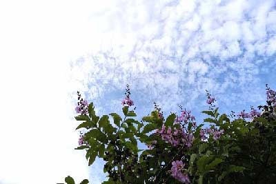 ���������԰�����������������