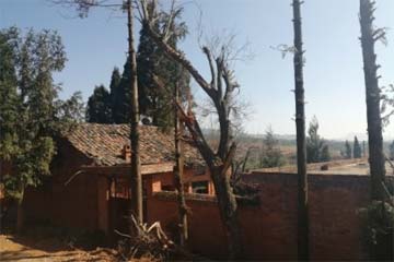 ɬɬ����ƻ��