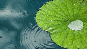 ��죣�����죣�