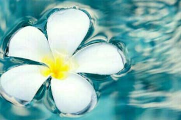 ͸�����˵������������Լ�