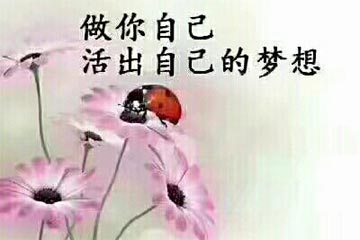 ���Դ���â������Լ���Ҫ������