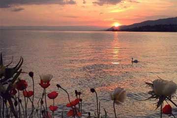 ���飬����