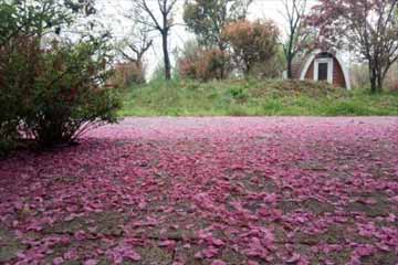 ������Щ���ڣ���һ���ķҷ�