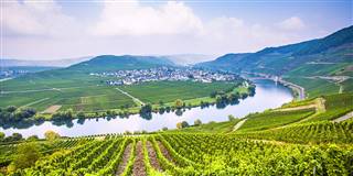 我和妻子的重逢