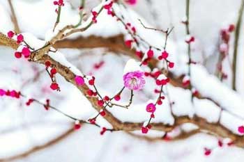 ʱ�ⲻ�ϣ����ǲ�ɢ