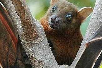 ��������������һ���š��и�