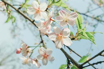 �һ�����裬����Ϸ��ɴ