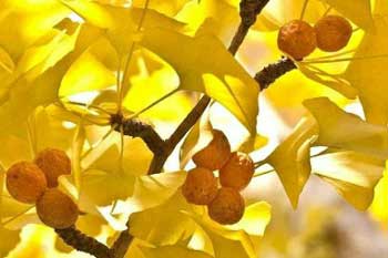 �����紵��������