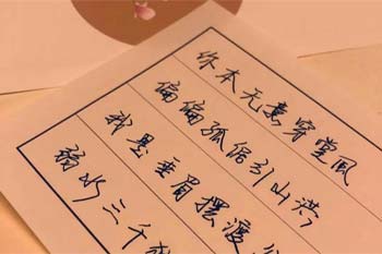 一生一代一双人