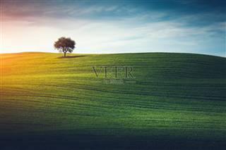 ��̽���˳�