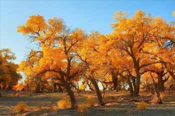 �����ס�Ҳ�����塱