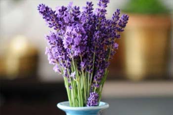 ���ڡ����⡱