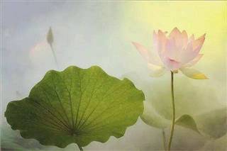 ��ꡢһЦ��������