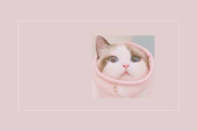 两个人在一座城互相取暖