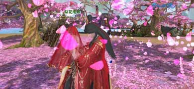 梨花雨凉又一段