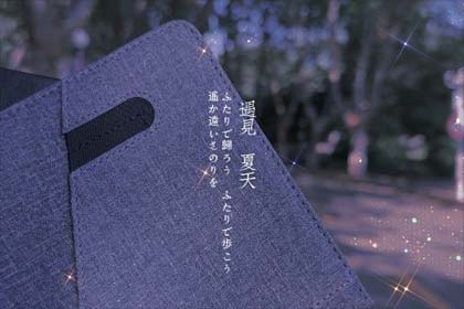 我有一壶酒,云游醉江湖