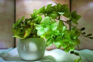 �������㣬��������