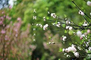 �˼�������