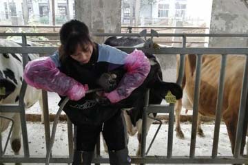 前进需要勇气 拐弯需要智慧