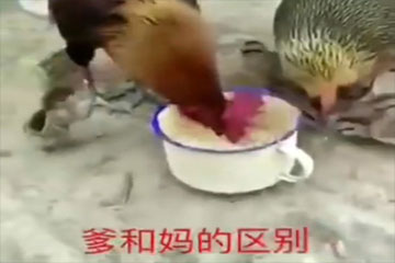 ������һ����