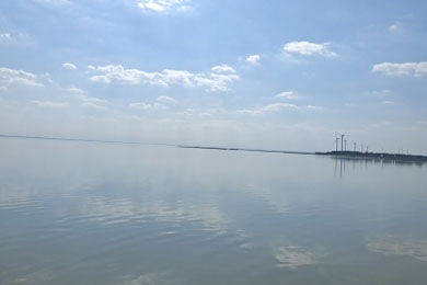 ��˭��������ͣ��