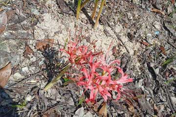 ����һ��