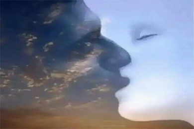 ��Ϊ�����԰�����Ϊ��������