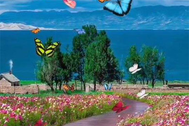 ��������,��������ɢ��