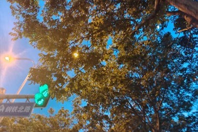 ��ֻ������̾һ����