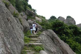 ����÷���������