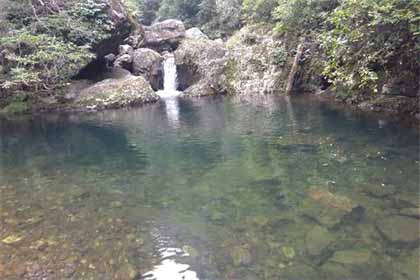 ��ԭ·�Ĳ���