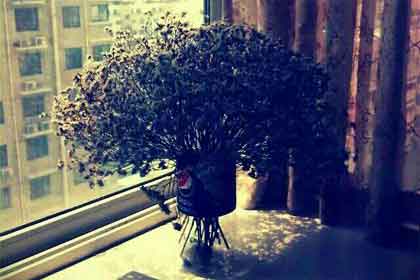 �����Ҹ���