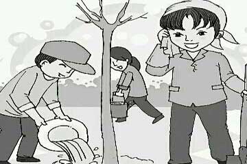 �Լ�������