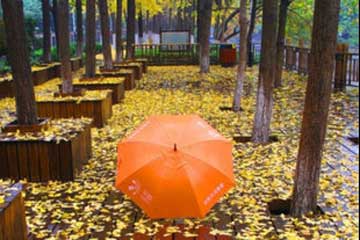 �Ƕ��飬��ů����