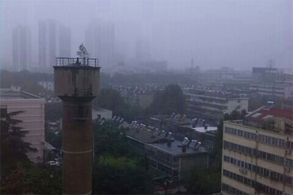 ��΢���������峿