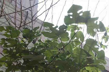 喜欢怎么样的生活