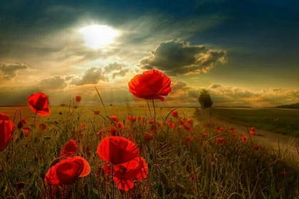 ��������