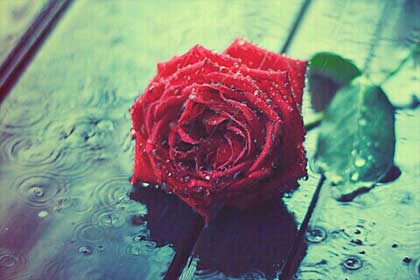 我们爱过,是曾经