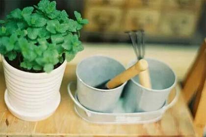 ��������������б������ҷܶ�������