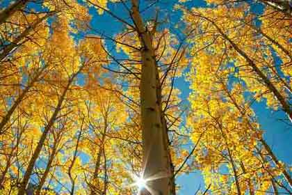 �õ��ģ�ʧȥ��