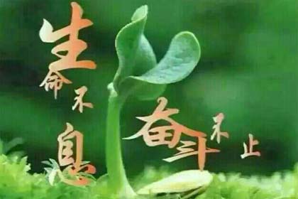 �����ᣬ��Ӧ��ƴ��