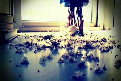 �������ζ