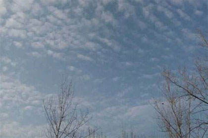 ��Ҫ����