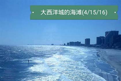 �������ɢ��