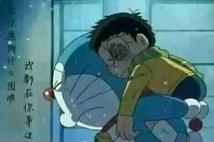 û�����������