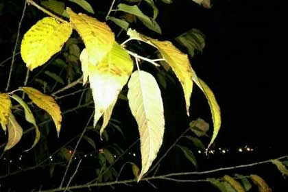 �������һ����